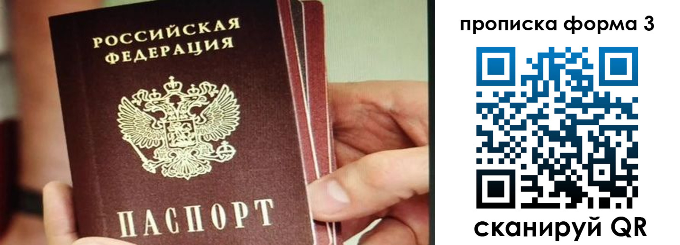 прописка законно в Сланцах